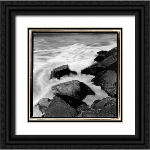 Incoming Tide I Black Ornate Wood Framed Art Print with Double Matting by DeNardo, Laura