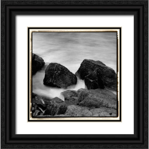 Incoming Tide II Black Ornate Wood Framed Art Print with Double Matting by DeNardo, Laura