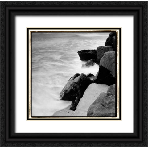 Incoming Tide IV Black Ornate Wood Framed Art Print with Double Matting by DeNardo, Laura