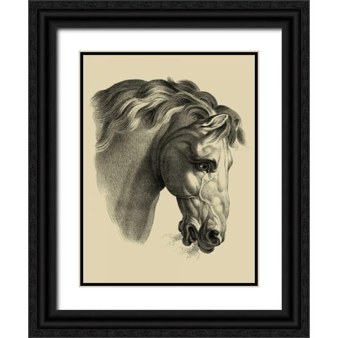 Equestrian Portrait IV Black Ornate Wood Framed Art Print with Double Matting by Vision Studio