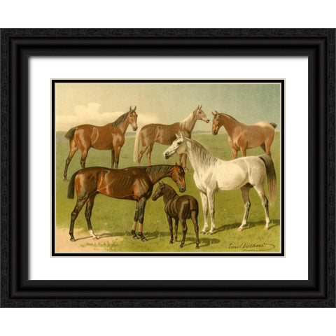 Horse Breeds I Black Ornate Wood Framed Art Print with Double Matting by Volkers, Emil