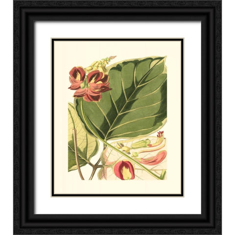 Fantastical Botanical I Black Ornate Wood Framed Art Print with Double Matting by Vision Studio