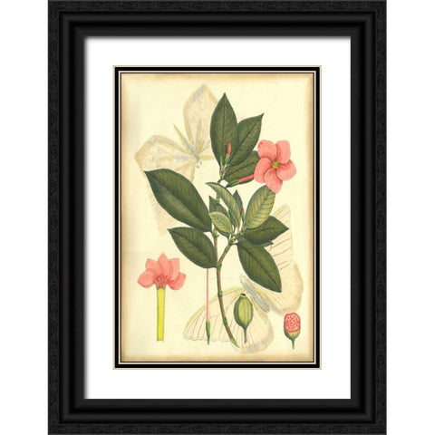 Floral Fantasia II Black Ornate Wood Framed Art Print with Double Matting by Unknown