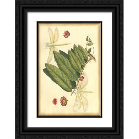 Floral Fantasia V Black Ornate Wood Framed Art Print with Double Matting by Unknown