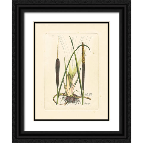 Antique Cattail I Black Ornate Wood Framed Art Print with Double Matting by Curtis