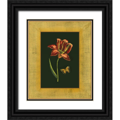 Tulip in Frame II Black Ornate Wood Framed Art Print with Double Matting by Unknown
