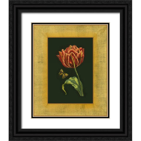 Tulip in Frame III Black Ornate Wood Framed Art Print with Double Matting by Unknown