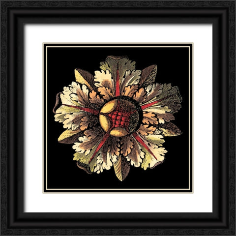Rosette on Black III Black Ornate Wood Framed Art Print with Double Matting by Antonini, Da Carlo
