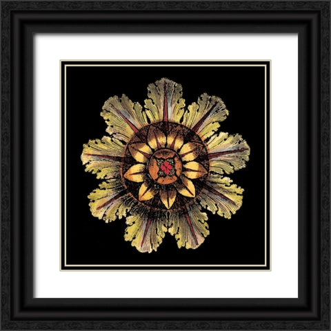 Rosette on Black IV Black Ornate Wood Framed Art Print with Double Matting by Antonini, Da Carlo