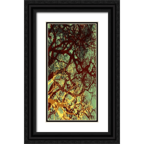 Entangle I Black Ornate Wood Framed Art Print with Double Matting by Burghardt, James