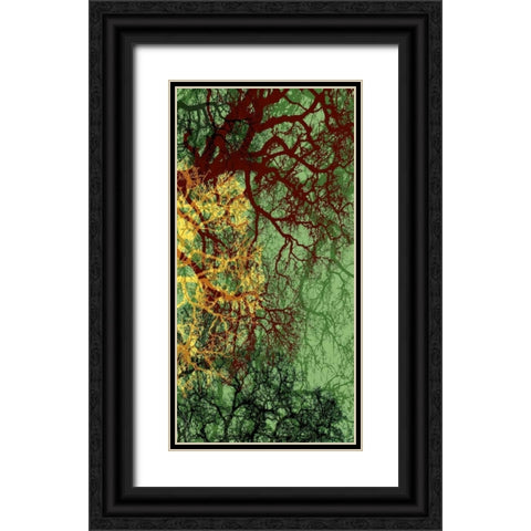 Entangle II Black Ornate Wood Framed Art Print with Double Matting by Burghardt, James