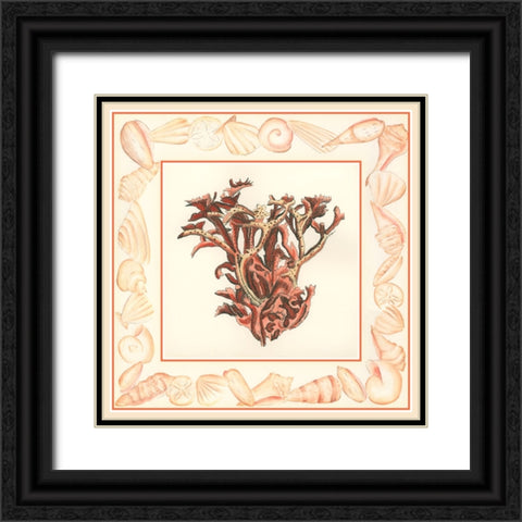 Coral with Shell Border III Black Ornate Wood Framed Art Print with Double Matting by Vision Studio