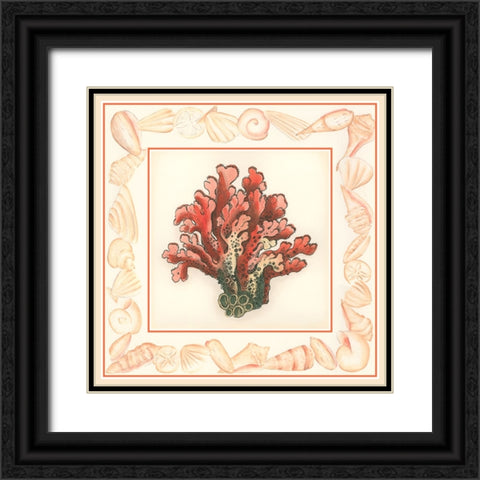 Coral with Shell Border IV Black Ornate Wood Framed Art Print with Double Matting by Vision Studio