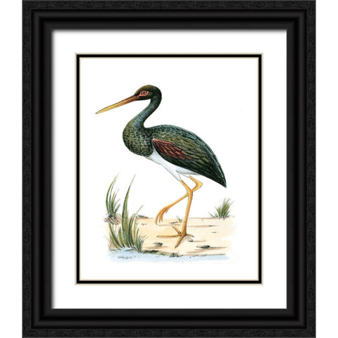 Water Birds II Black Ornate Wood Framed Art Print with Double Matting by Vision Studio