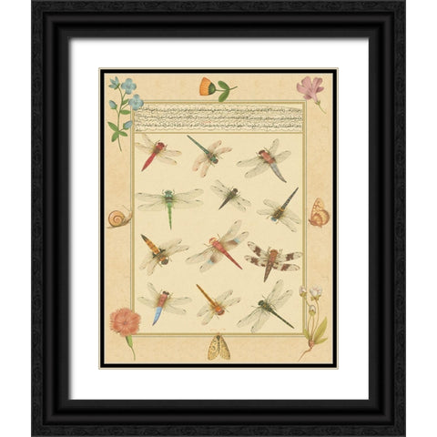 Custom Dragonfly Manuscript I (HI) Black Ornate Wood Framed Art Print with Double Matting by Prasad, Jaggu