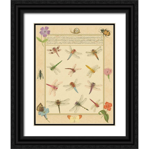 Custom Dragonfly Manuscript II (HI) Black Ornate Wood Framed Art Print with Double Matting by Prasad, Jaggu
