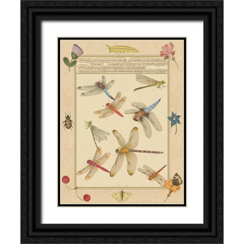 Small Dragonfly Manuscript IV (U) Black Ornate Wood Framed Art Print with Double Matting by Prasad, Jaggu