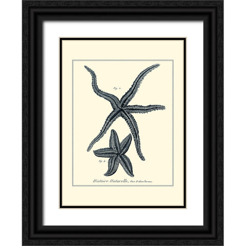 Indigo Starfish II Black Ornate Wood Framed Art Print with Double Matting by Diderot, Denis