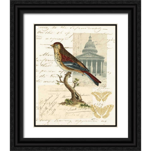 Naturalists Collage I Black Ornate Wood Framed Art Print with Double Matting by Vision Studio