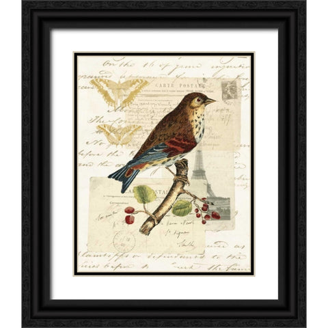 Naturalists Collage II Black Ornate Wood Framed Art Print with Double Matting by Vision Studio