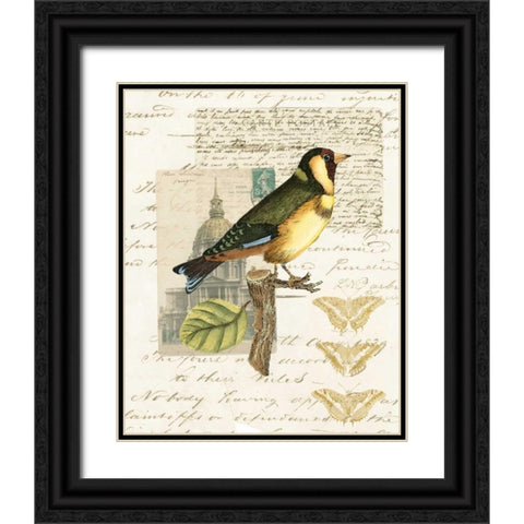 Naturalists Collage IV Black Ornate Wood Framed Art Print with Double Matting by Vision Studio