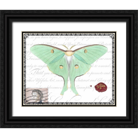 Butterfly Prose VI Black Ornate Wood Framed Art Print with Double Matting by Vision Studio