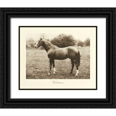 Veronese Black Ornate Wood Framed Art Print with Double Matting by Hailey, Clarence