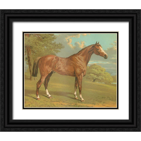 Cassells Thoroughbred I Black Ornate Wood Framed Art Print with Double Matting by Cassel