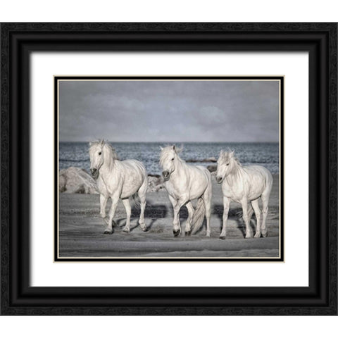Morning Run Black Ornate Wood Framed Art Print with Double Matting by PHBurchett