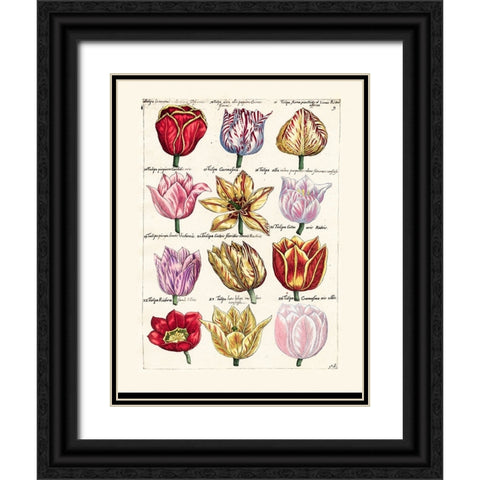 Tulips en Masse I Black Ornate Wood Framed Art Print with Double Matting by Unknown