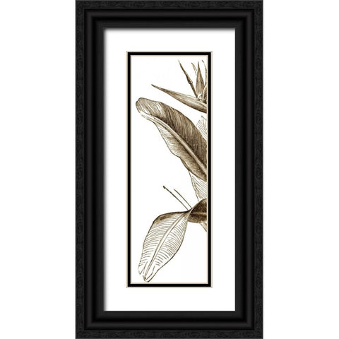 Bird of Paradise Triptych I Black Ornate Wood Framed Art Print with Double Matting by Vision Studio