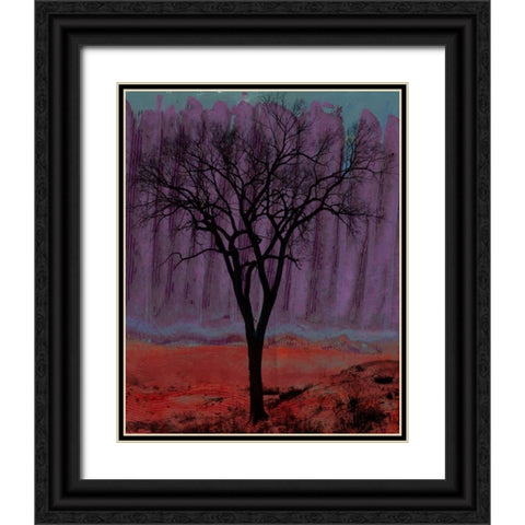 Aurora I Black Ornate Wood Framed Art Print with Double Matting by Ludwig, Alicia