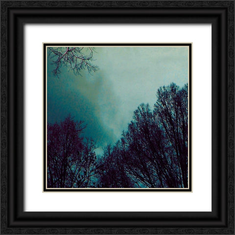 Nocturne I Black Ornate Wood Framed Art Print with Double Matting by Ludwig, Alicia