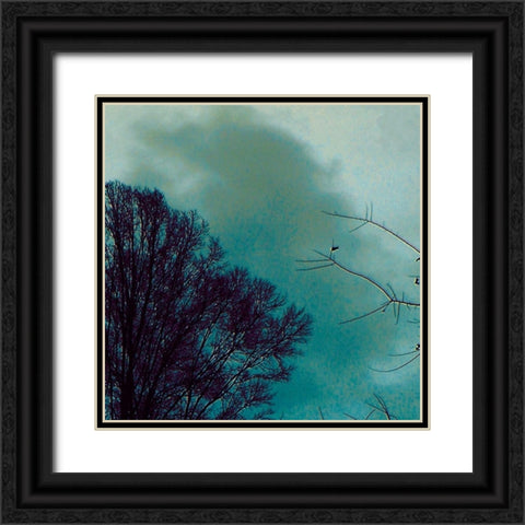 Nocturne II Black Ornate Wood Framed Art Print with Double Matting by Ludwig, Alicia