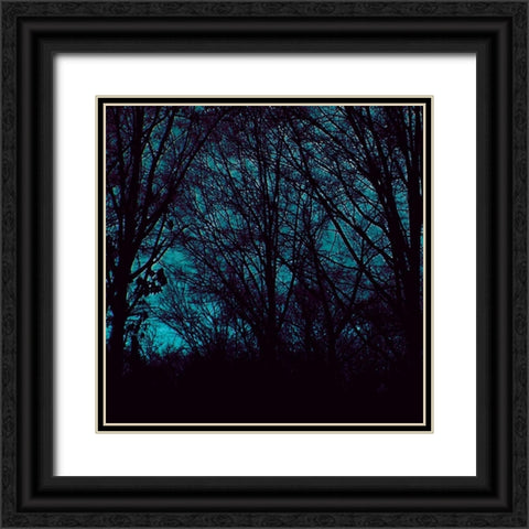 Nocturne III Black Ornate Wood Framed Art Print with Double Matting by Ludwig, Alicia