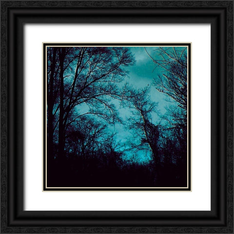 Nocturne IV Black Ornate Wood Framed Art Print with Double Matting by Ludwig, Alicia
