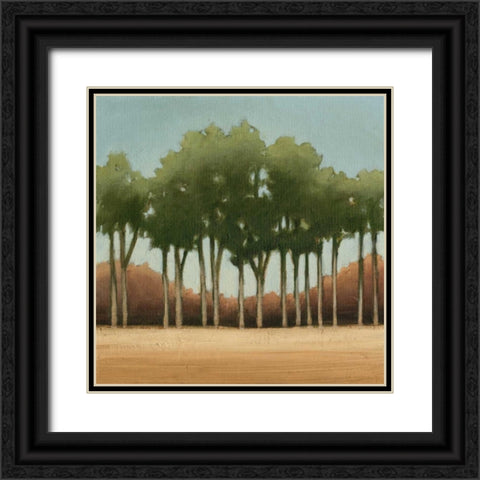 Stand of Trees II Black Ornate Wood Framed Art Print with Double Matting by Harper, Ethan