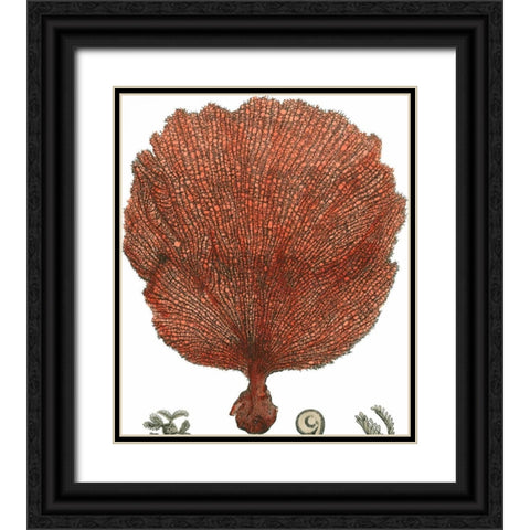 Red Coral II Black Ornate Wood Framed Art Print with Double Matting by Vision Studio