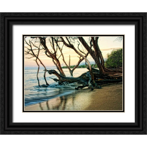 Reaching for the Sea I Black Ornate Wood Framed Art Print with Double Matting by Head, Danny
