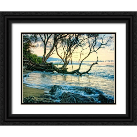 Reaching for the Sea II Black Ornate Wood Framed Art Print with Double Matting by Head, Danny