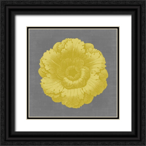 Gilded Rosette VI Black Ornate Wood Framed Art Print with Double Matting by Vision Studio