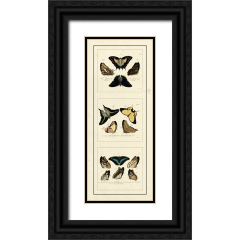 Antique Butterfly Panel I Black Ornate Wood Framed Art Print with Double Matting by Jablonsk