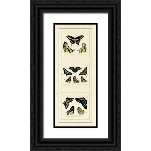 Antique Butterfly Panel II Black Ornate Wood Framed Art Print with Double Matting by Jablonsk