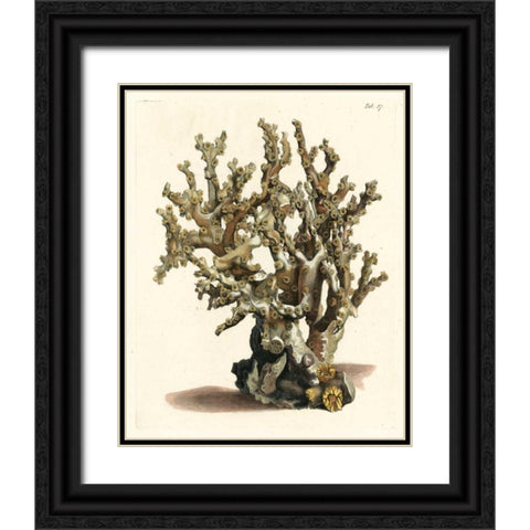 Antique Coral II Black Ornate Wood Framed Art Print with Double Matting by Vision Studio