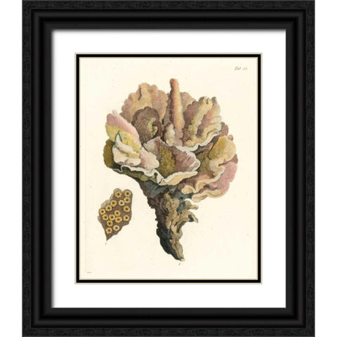 Antique Coral III Black Ornate Wood Framed Art Print with Double Matting by Vision Studio