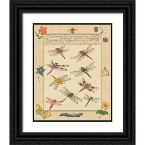 Dragonfly Manuscript III Black Ornate Wood Framed Art Print with Double Matting by Prasad, Jaggu
