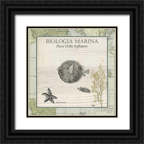 Biologia Marina II Black Ornate Wood Framed Art Print with Double Matting by Vision Studio