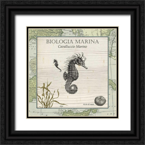Biologia Marina III Black Ornate Wood Framed Art Print with Double Matting by Vision Studio