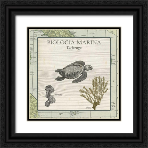 Biologia Marina IV Black Ornate Wood Framed Art Print with Double Matting by Vision Studio
