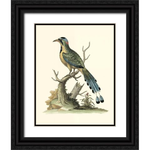 Poised in Nature II Black Ornate Wood Framed Art Print with Double Matting by Edwards, George